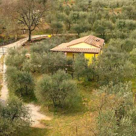 La Casina, Private With A/c In Val Di Chiana * Scrofiano