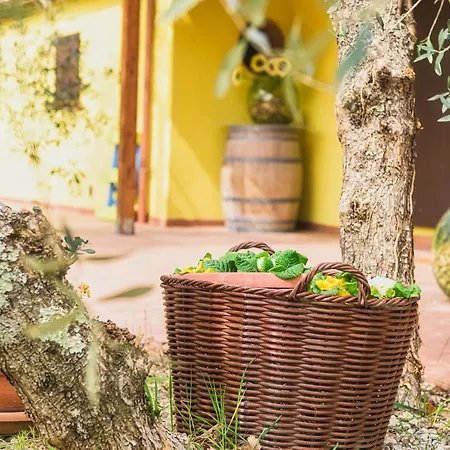 La Casina, Private With A/c In Val Di Chiana Holiday home
